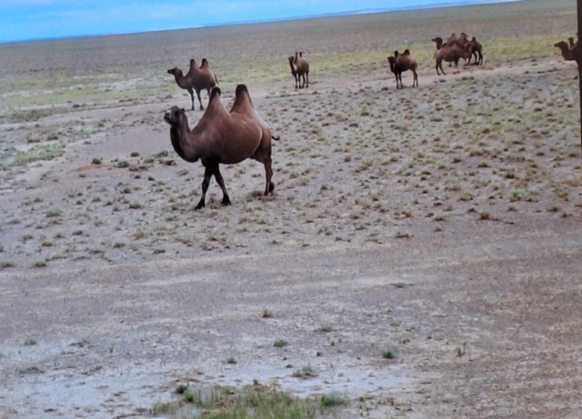 451429727_471777289162698_14959786484755353_n